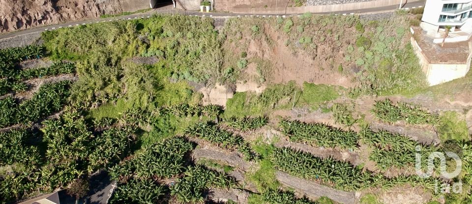 Land in Arco da Calheta of 2,295 m²