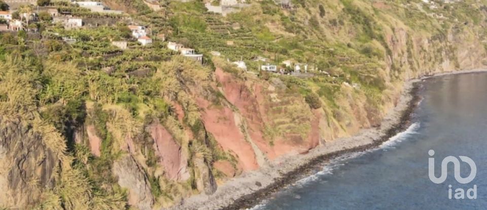 Land in Arco da Calheta of 2,295 m²