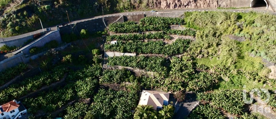 Land in Arco da Calheta of 2,295 m²