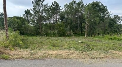 Building plot in Monte Real e Carvide of 780 m²