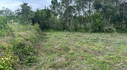 Building plot in Monte Real e Carvide of 780 m²