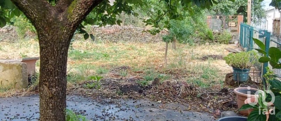 House T3 in Lagoaça e Fornos of 141 m²