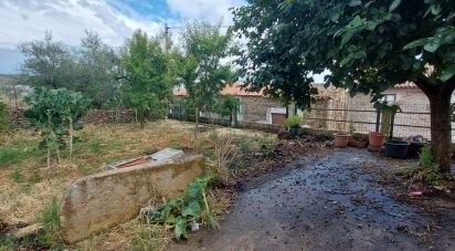 Maison T3 à Lagoaça e Fornos de 141 m²