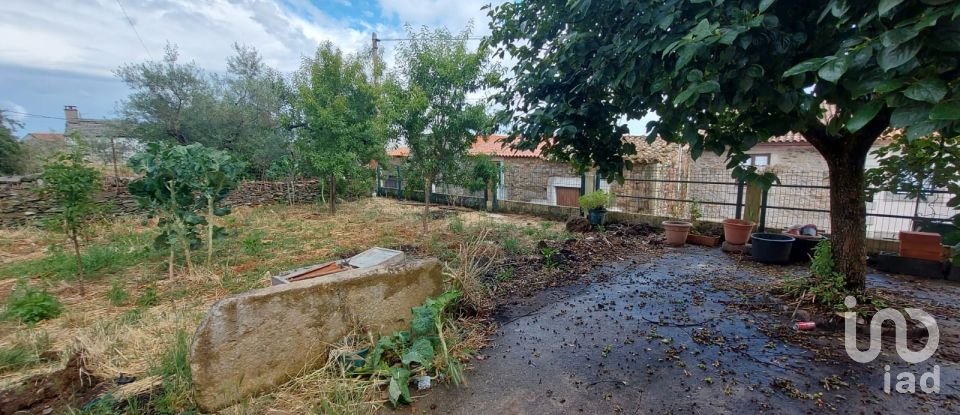 House T3 in Lagoaça e Fornos of 141 m²