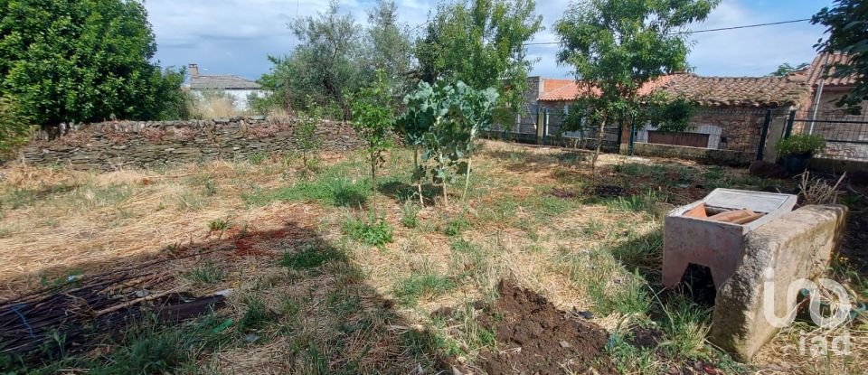 House T3 in Lagoaça e Fornos of 141 m²