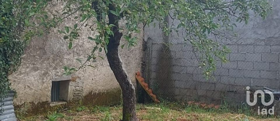 Moradia T3 em Lagoaça e Fornos de 240 m²