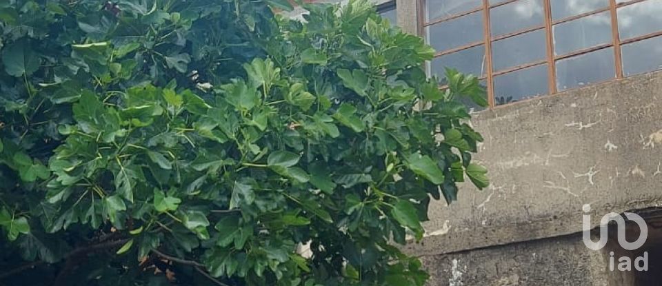 Moradia T3 em Lagoaça e Fornos de 240 m²