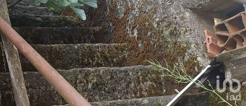 Moradia T3 em Lagoaça e Fornos de 240 m²