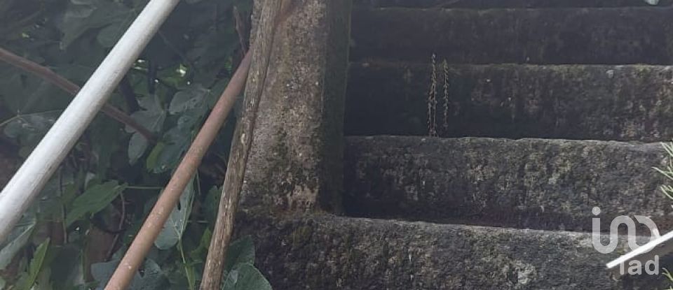 Moradia T3 em Lagoaça e Fornos de 240 m²