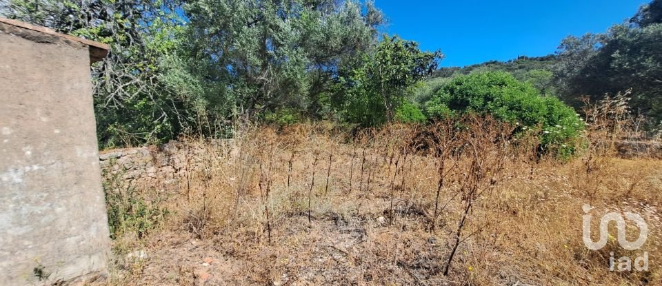 Casa de Campo T2 em Loulé (São Clemente) de 164 m²