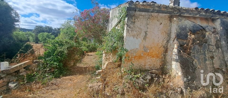 Casa de Campo T2 em Loulé (São Clemente) de 164 m²