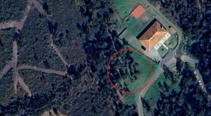 Farm land in São Pedro D'Arcos of 660 m²