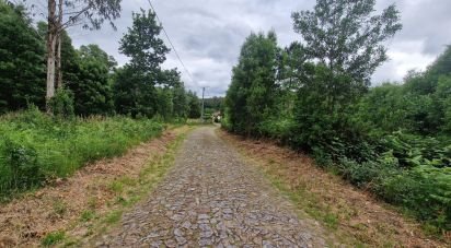 Farm land in São Pedro D'Arcos of 660 m²