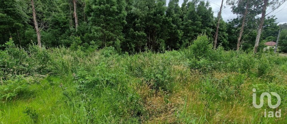 Terrain agricole à São Pedro D'Arcos de 660 m²