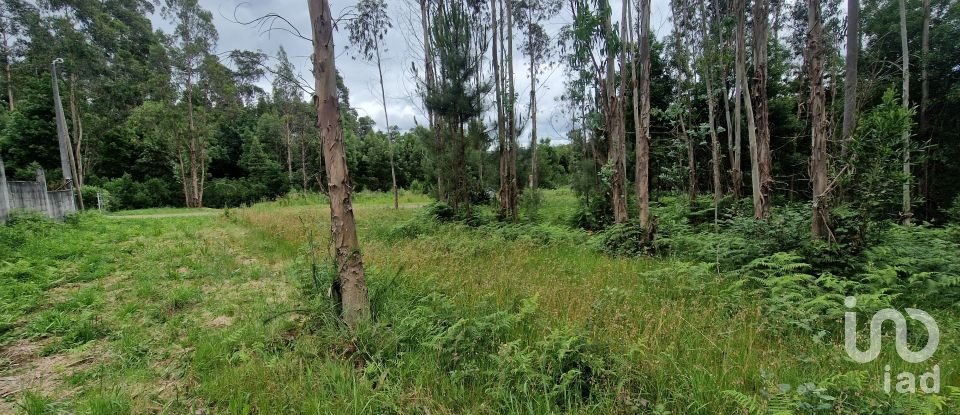 Terrain agricole à São Pedro D'Arcos de 660 m²