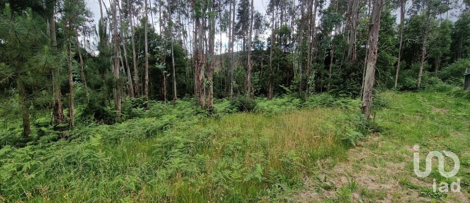 Terrain agricole à São Pedro D'Arcos de 660 m²