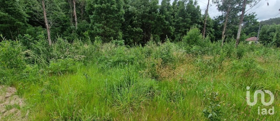 Terrain agricole à São Pedro D'Arcos de 660 m²