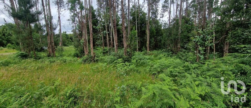 Terrain agricole à São Pedro D'Arcos de 660 m²