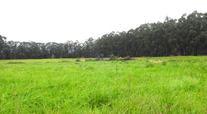 Terrain à Ovar, São João, Arada e São Vicente de Pereira Jusã de 3 950 m²