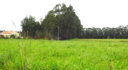 Terrain à Ovar, São João, Arada e São Vicente de Pereira Jusã de 3 950 m²