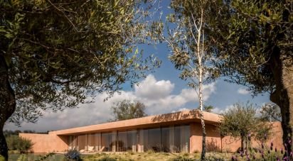 Terrain à bâtir à Pernes de 61 680 m²