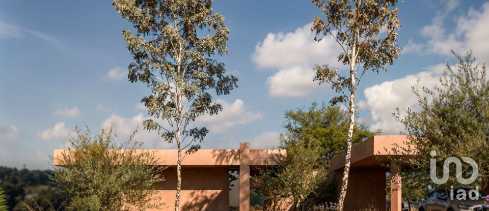 Terreno urbano em Pernes de 61 680 m²