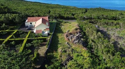 Terrain à Santo Amaro de 1 492 m²