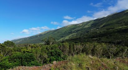 Terrain à Santo Amaro de 1 492 m²