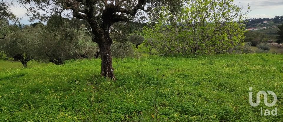 Terreno em Carregueiros de 10 500 m²