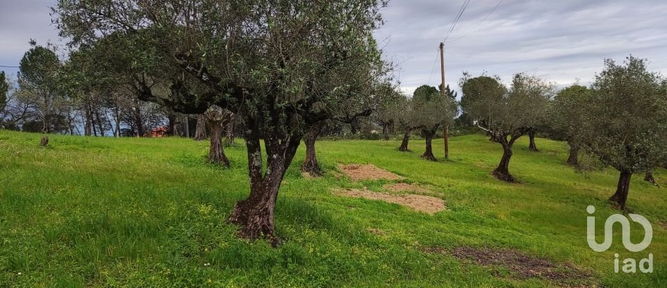 Terreno em Carregueiros de 10 500 m²