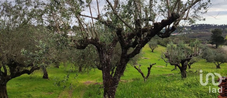 Terreno em Carregueiros de 10 500 m²