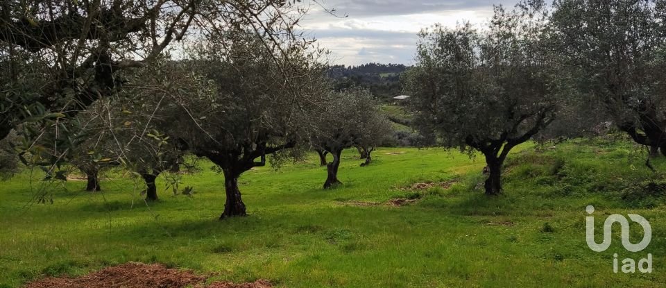 Terreno em Carregueiros de 10 500 m²