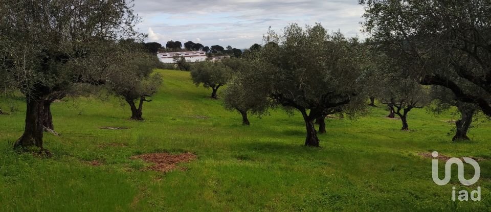 Terreno em Carregueiros de 10 500 m²
