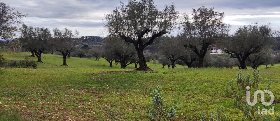 Terreno em Carregueiros de 10 500 m²
