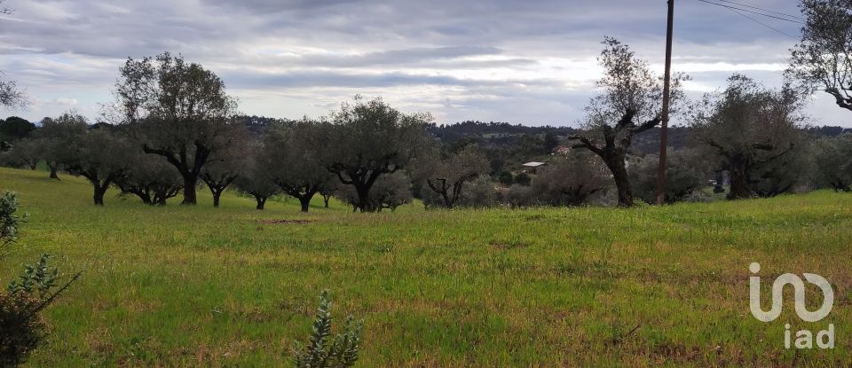 Terreno em Carregueiros de 10 500 m²