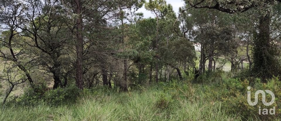 Terreno em Carregueiros de 10 500 m²