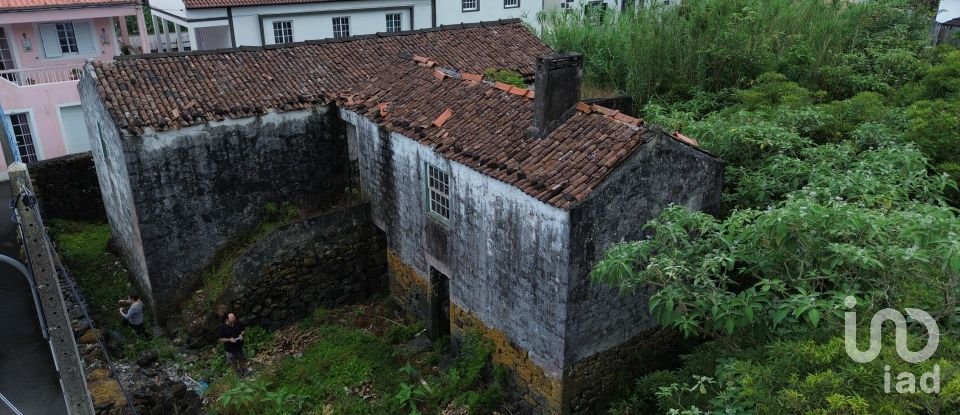 Traditional house T3 in Ribeiras of 207 m²