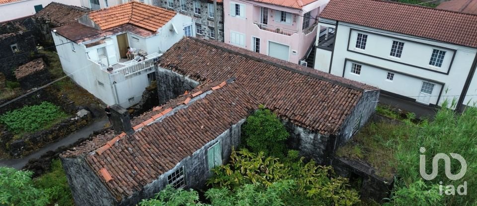 Traditional house T3 in Ribeiras of 207 m²