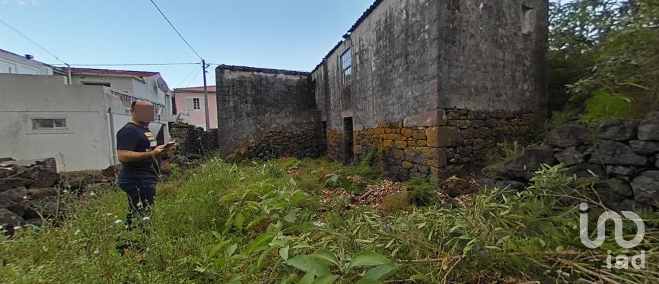 Traditional house T3 in Ribeiras of 207 m²