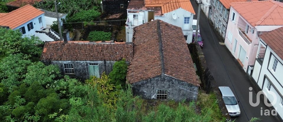 Traditional house T3 in Ribeiras of 207 m²