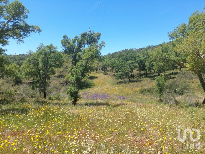 Terreno em Melides de 248 300 m²