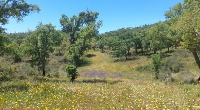 Terrain à Melides de 248 300 m²
