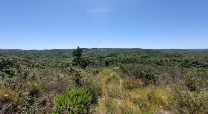 Terrain à Melides de 248 300 m²