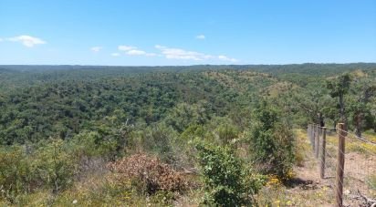 Terrain à Melides de 248 300 m²
