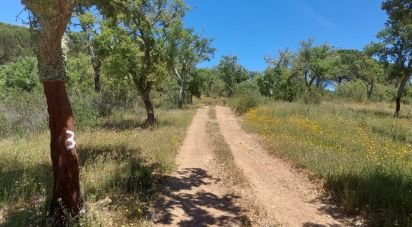 Terrain à Melides de 248 300 m²