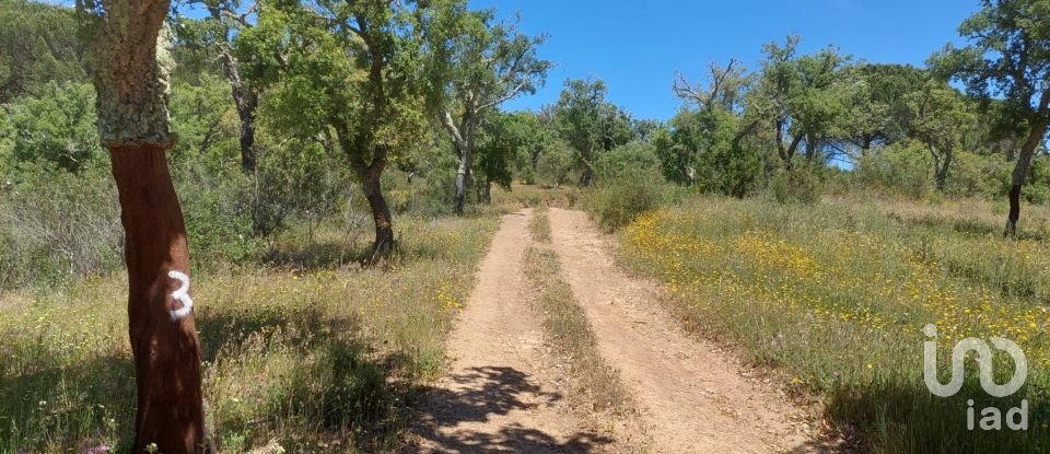 Terreno em Melides de 248 300 m²