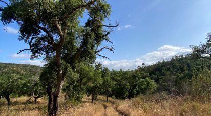 Terrain à Melides de 248 300 m²