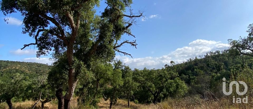 Terreno em Melides de 248 300 m²