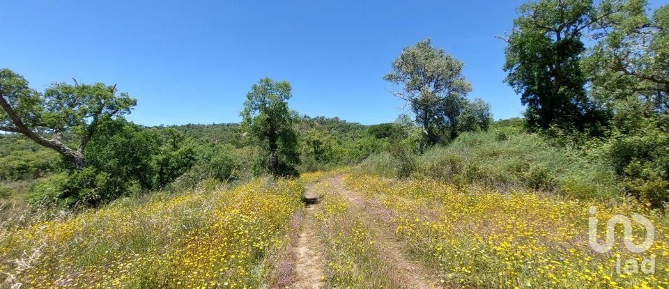 Terreno em Melides de 248 300 m²