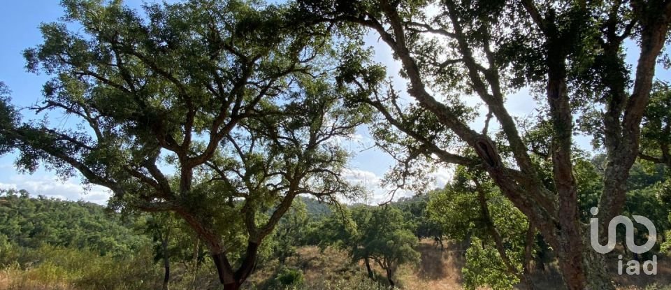 Terreno em Melides de 248 300 m²